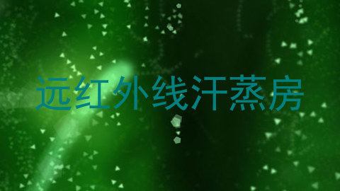 远红外线汗蒸房