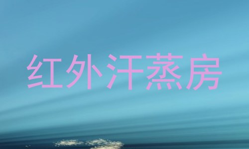 红外汗蒸房