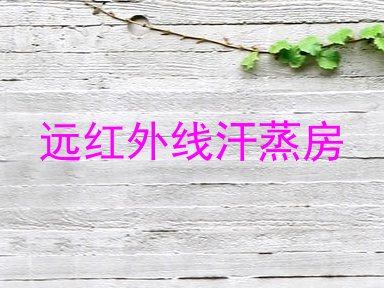 远红外线汗蒸房