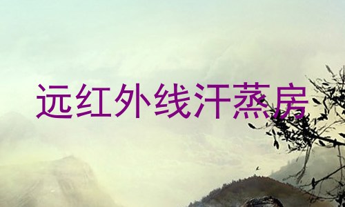 远红外线汗蒸房