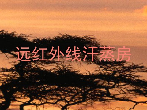 远红外线汗蒸房