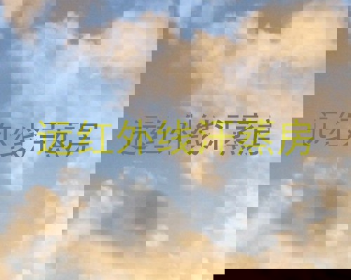 远红外线汗蒸房