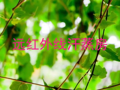 远红外线汗蒸房