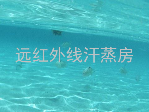 远红外线汗蒸房