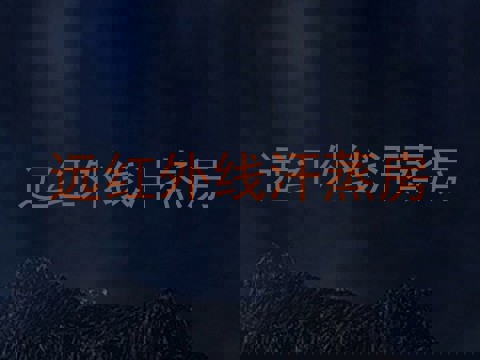 远红外线汗蒸房