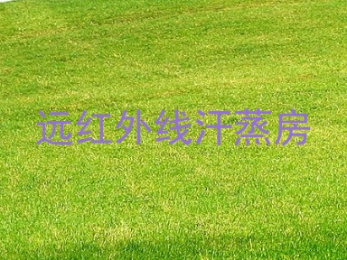 远红外线汗蒸房