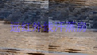 远红外线汗蒸房