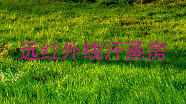 远红外线汗蒸房