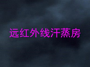 远红外线汗蒸房