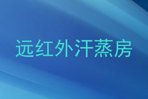 远红外汗蒸房