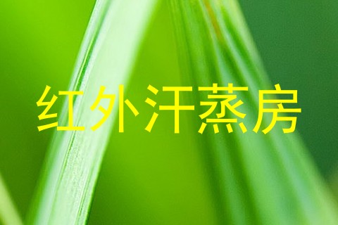 红外汗蒸房