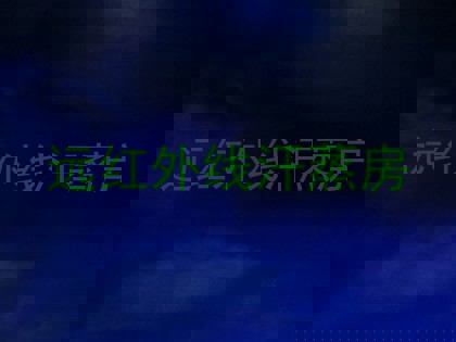 远红外线汗蒸房