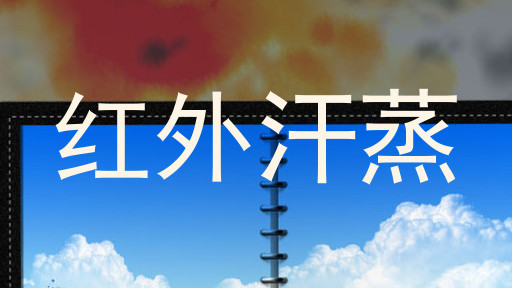 红外汗蒸