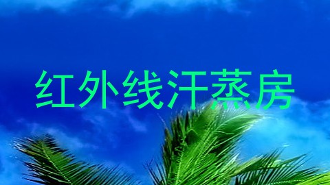 红外线汗蒸房
