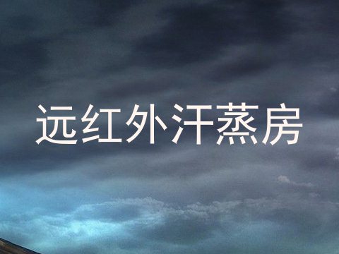 远红外汗蒸房