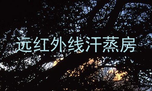 远红外线汗蒸房