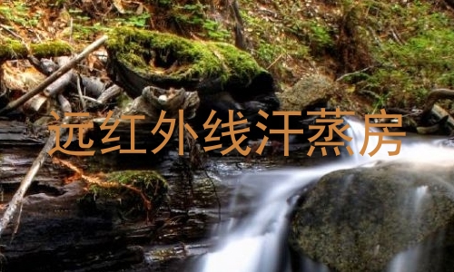 远红外线汗蒸房