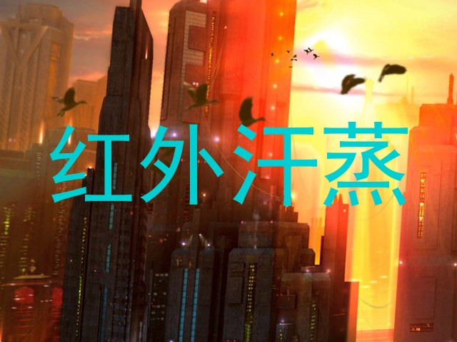 红外汗蒸