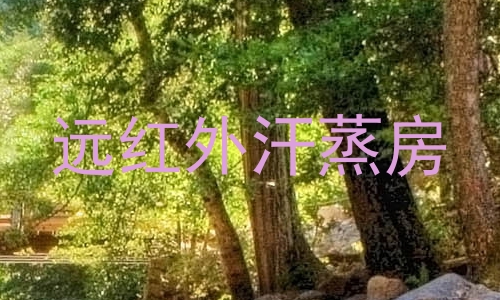 远红外汗蒸房