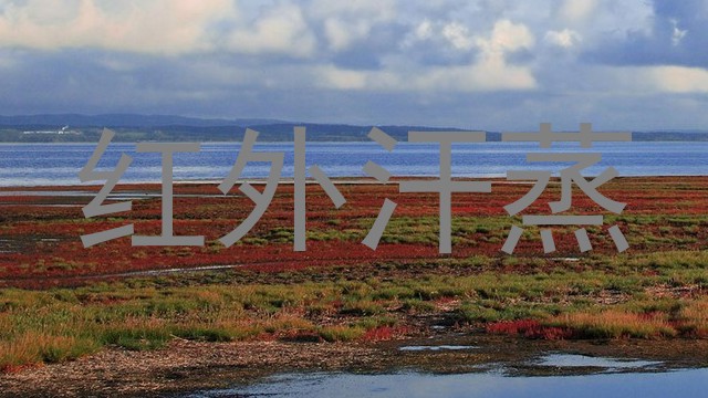 红外汗蒸