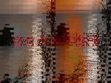 远红外线汗蒸房