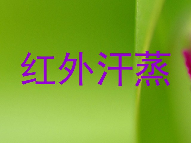 红外汗蒸