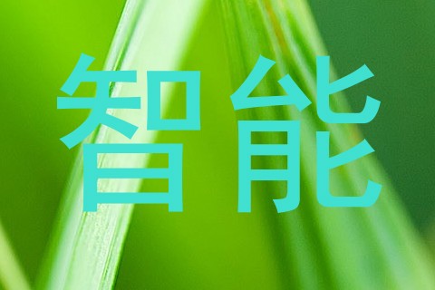 智能