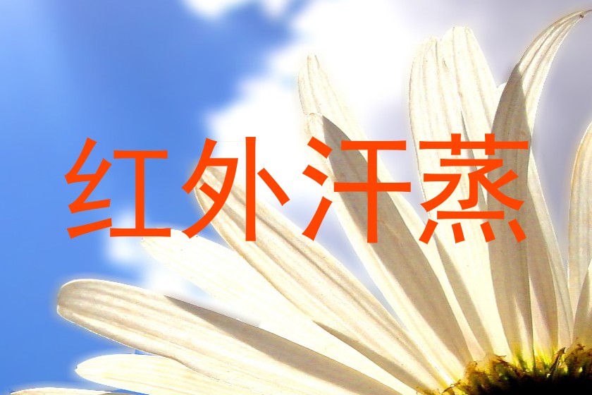 红外汗蒸