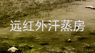 远红外汗蒸房