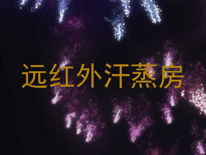远红外汗蒸房