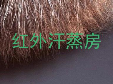 红外汗蒸房