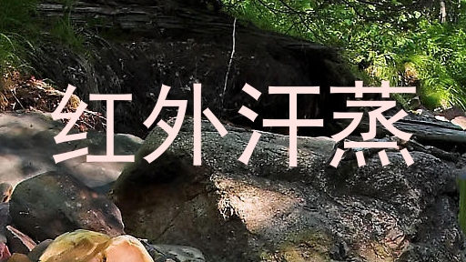 红外汗蒸