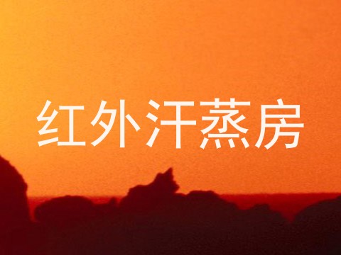 红外汗蒸房
