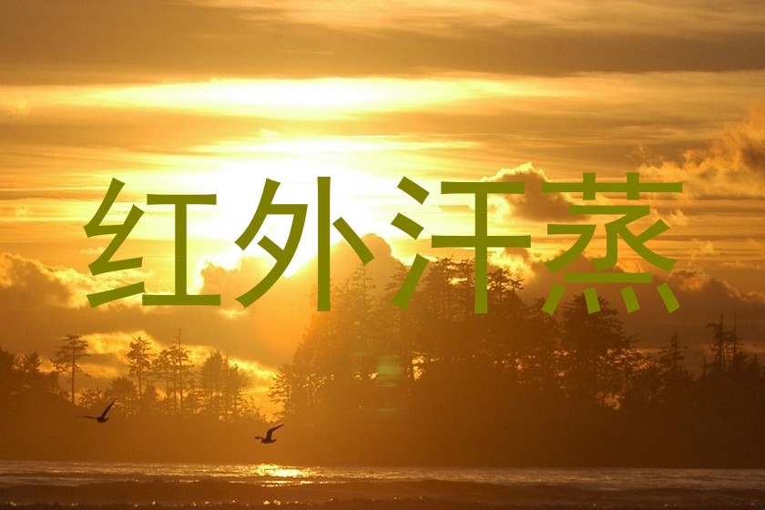红外汗蒸
