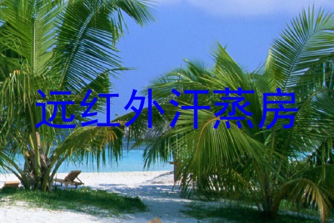 远红外汗蒸房