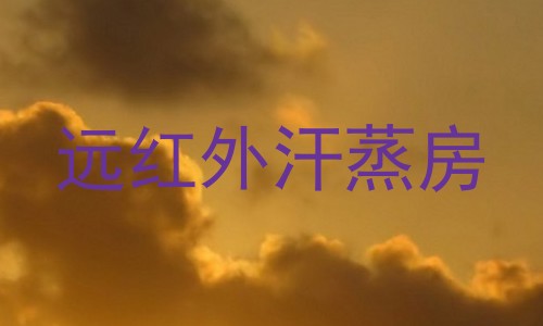 远红外汗蒸房