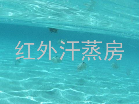 红外汗蒸房
