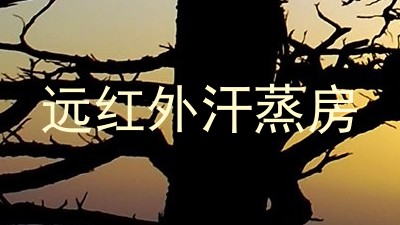 远红外汗蒸房