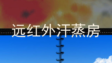 远红外汗蒸房