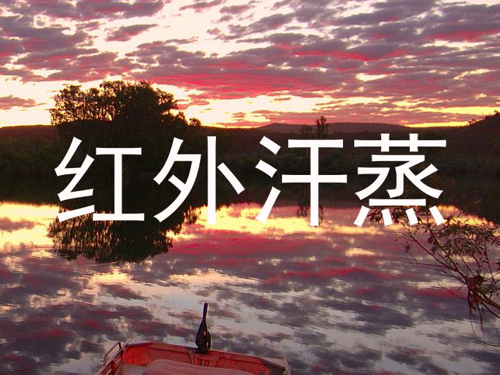 红外汗蒸