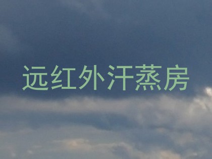 远红外汗蒸房