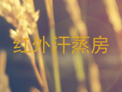 红外汗蒸房