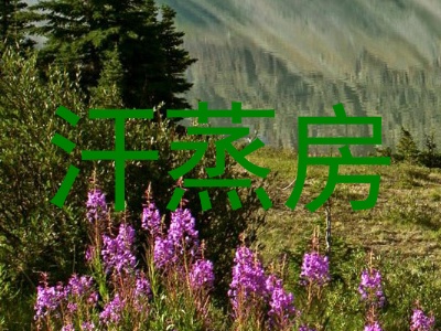 汗蒸房