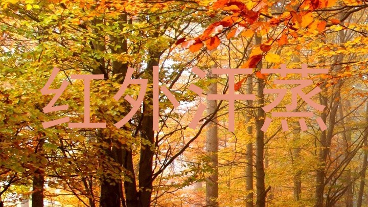红外汗蒸