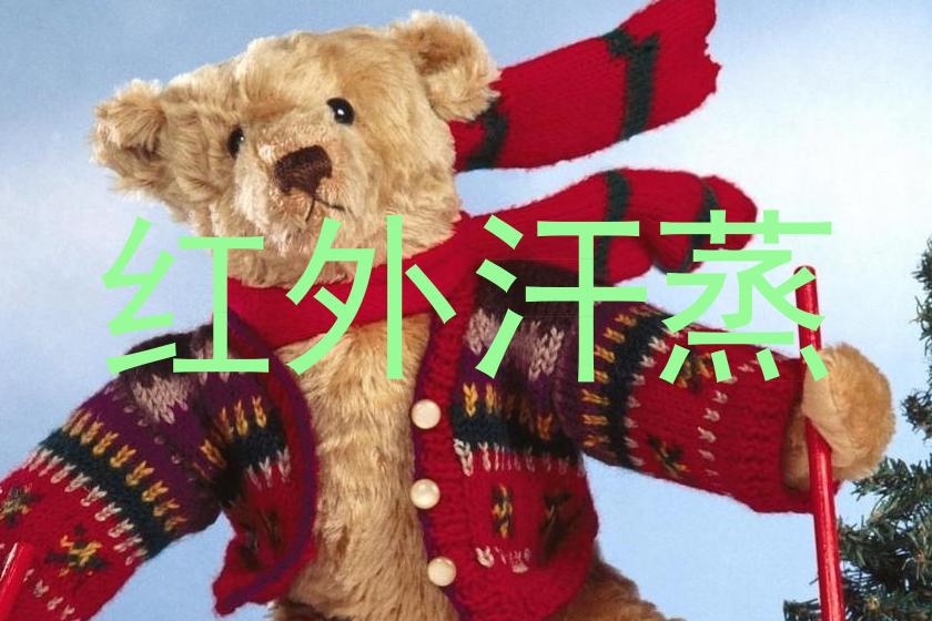 红外汗蒸