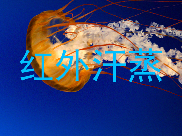 红外汗蒸