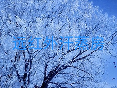 远红外汗蒸房