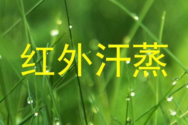 红外汗蒸