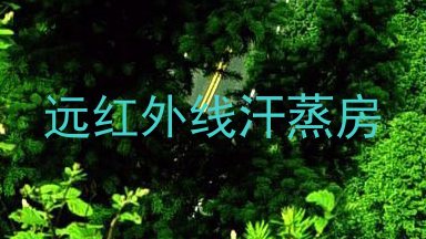 远红外线汗蒸房