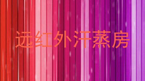 远红外汗蒸房